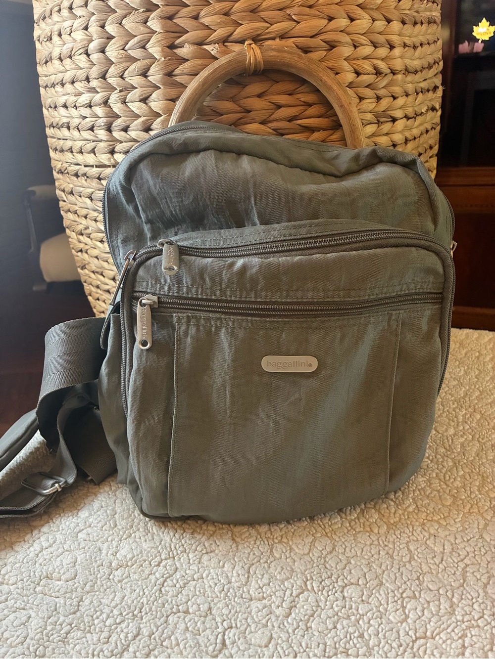 Baggallini Gray Multi Pocket Travel Crossbody Shoulder Bag Organizer Nylon